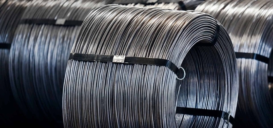 Gegalvaniseerde ijzeren draad 11 Gauge Hot Dip/Elektrisch gegalvaniseerde staaldraad voor de vraag van klanten Top distributeur