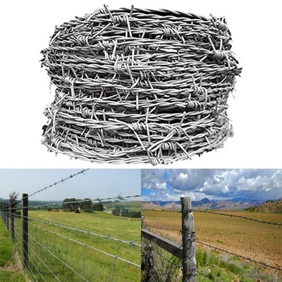 Hot Dip Galvanized Barb Wire Rolls 50kg prikkeldraad voor scheermes Type Single Razor en BSCI Certificate
