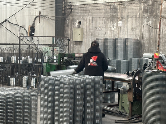 Gegalvaniseerde ijzerdraad staaldraadmaas met warm gegalvaniseerde PVC-coating in maat