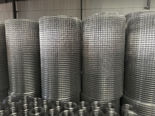 Standaard specificaties Twill Weave JHT Bird Cage gegalvaniseerd gelast staal draad mesh rol voor het voldoen aan de eisen van de klant