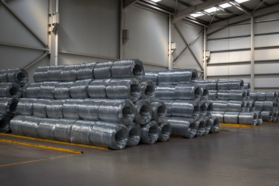 Goedkope roestvrijstalen lasdraad 7*7 2,5 mm Nylon PVC Plastic Coated SS Draadtouw In China