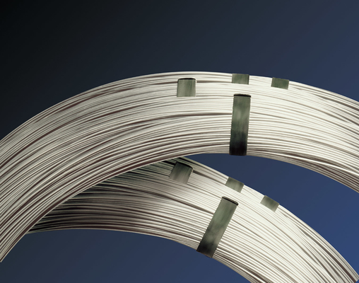 Gepersonaliseerd 0,15-3mm 200 serie 300 serie roestvrijstalen draad roestvrijstalen rechte draad ss draad kwaliteit 304 316 400 serie